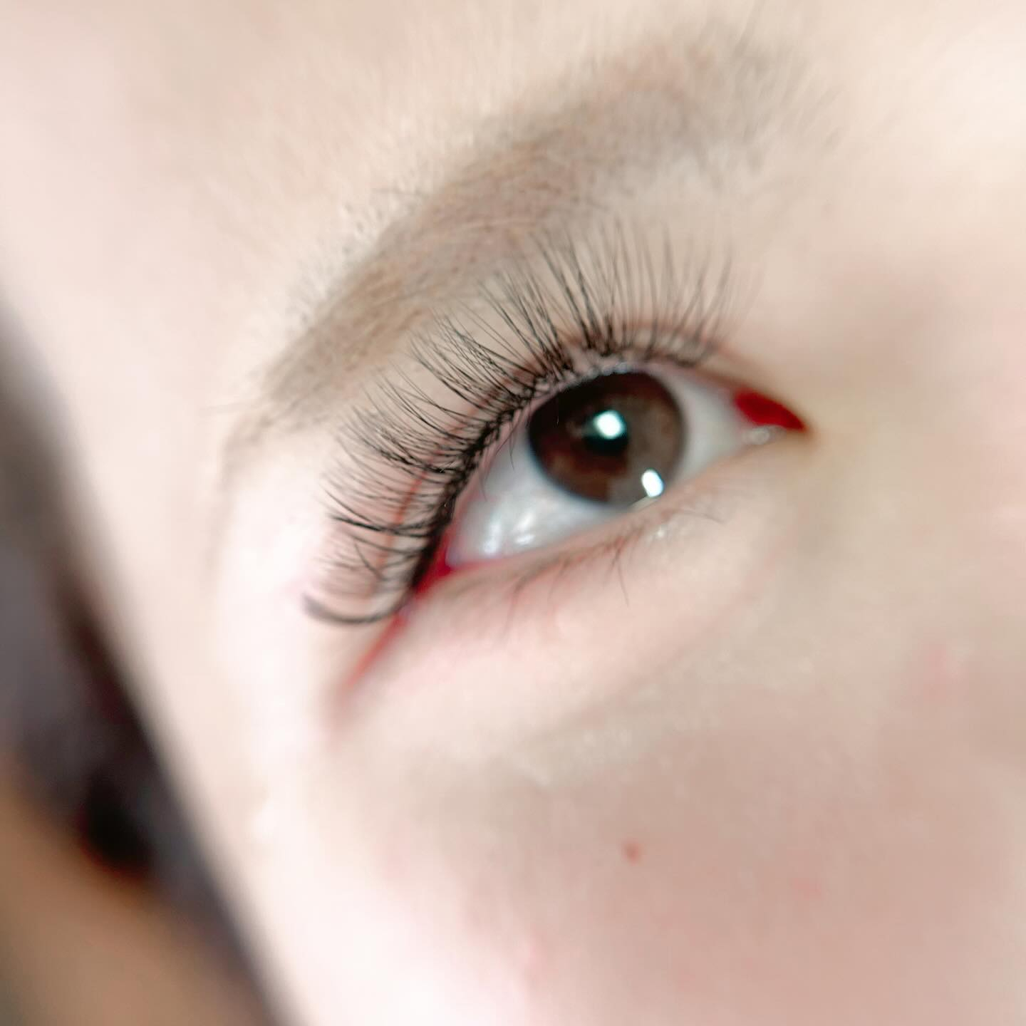 こんにちは☀️