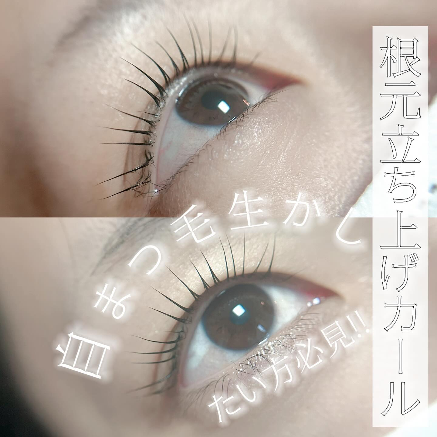 こんばんは︎ ᴗ͈ ᴗ͈