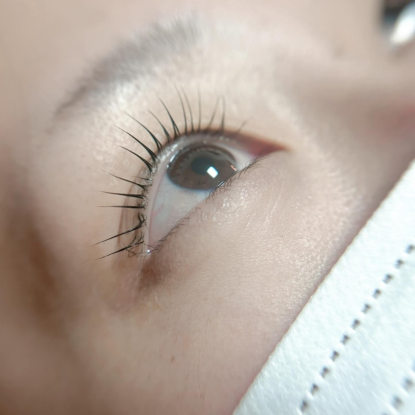 こんばんは︎ ᴗ͈ ᴗ͈