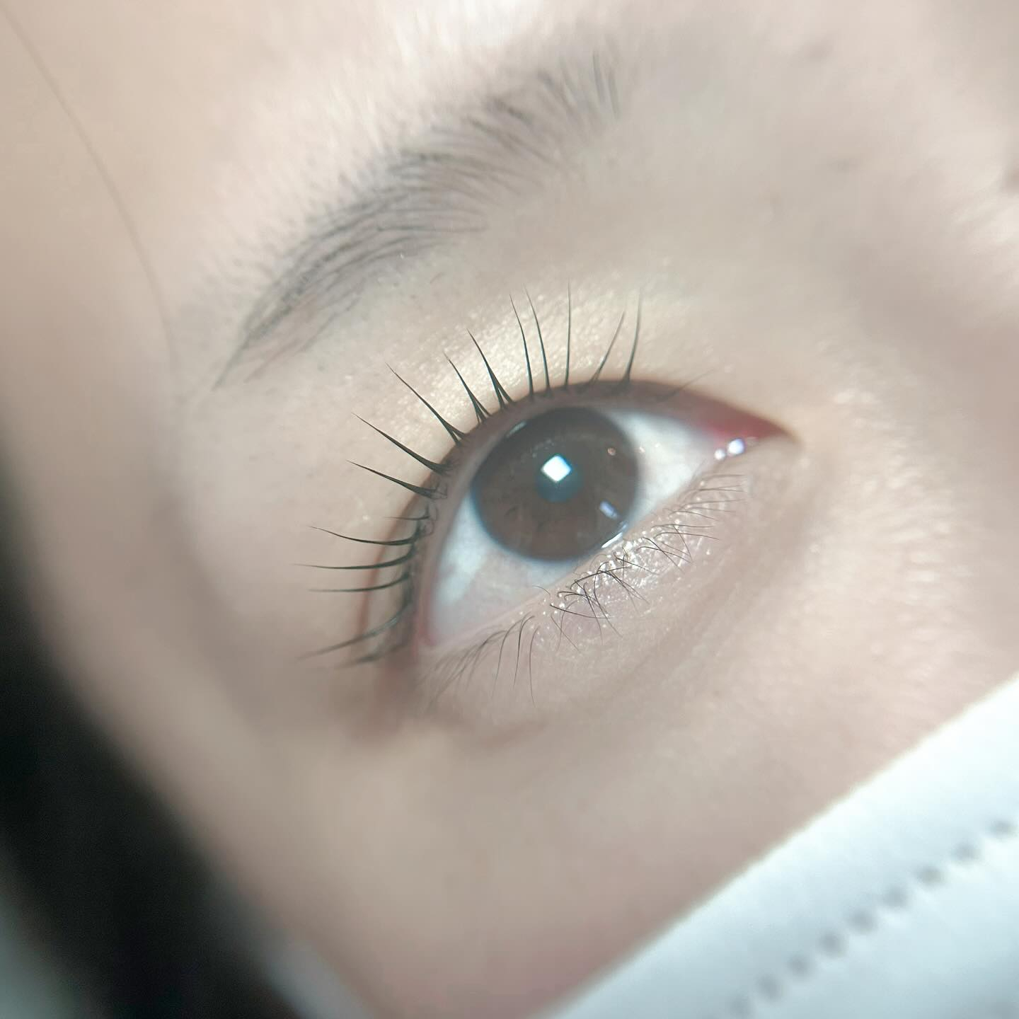 こんばんは︎ ᴗ͈ ᴗ͈