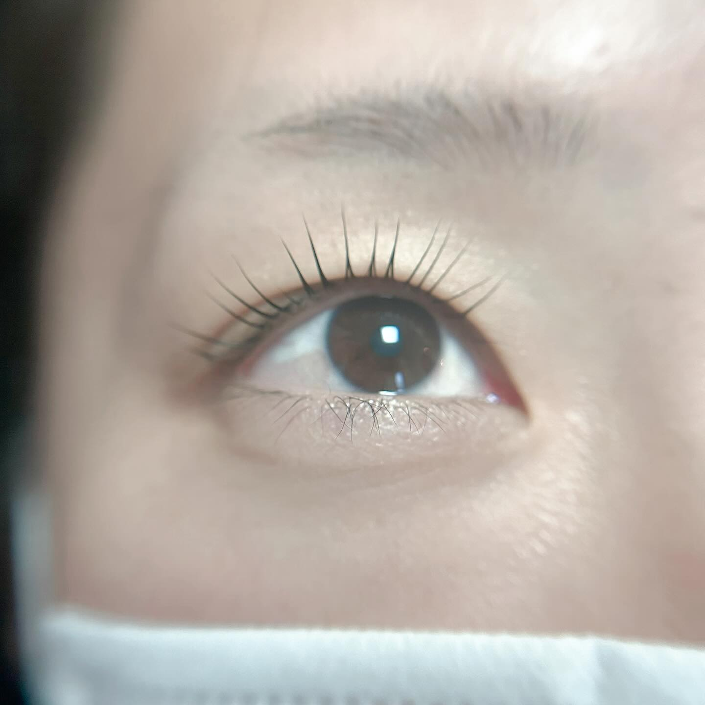 こんばんは︎ ᴗ͈ ᴗ͈