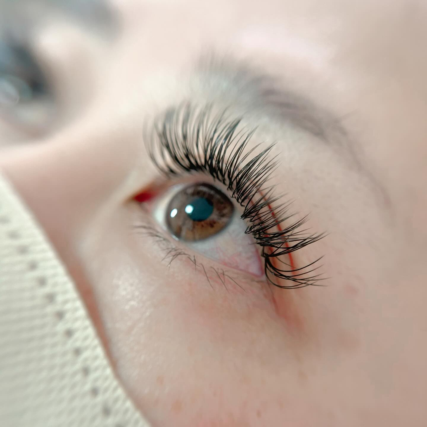 こんばんは🌙*ﾟ