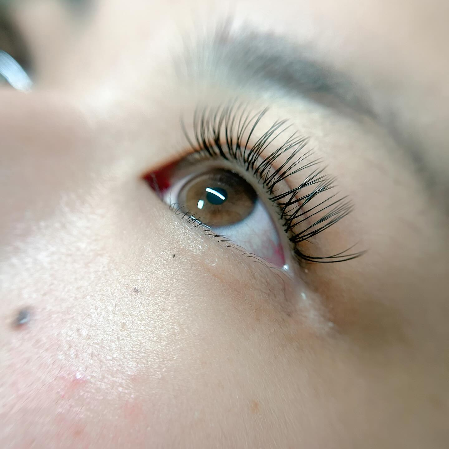 こんばんは🌙*ﾟ