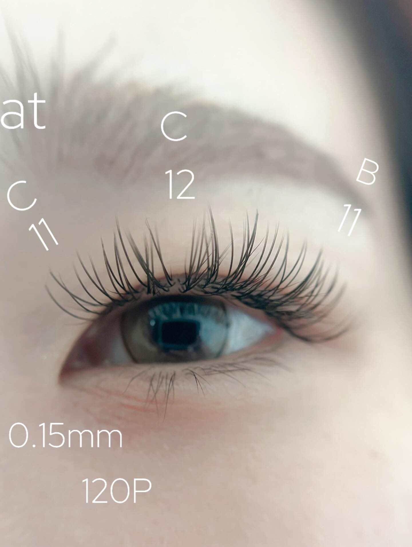 まつ毛エクステをただただ